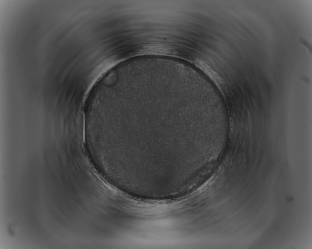 X0000091551123200709071210
