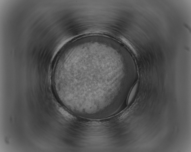 X0000091551124200709071210