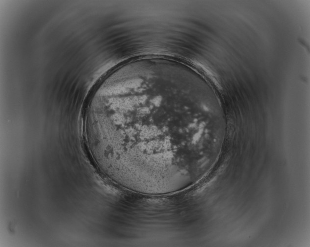 X0000091551125200709071210