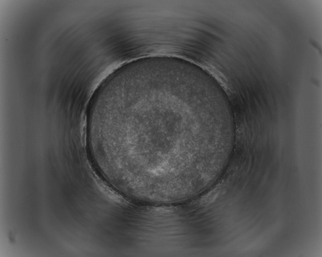 X0000091551126200709071210