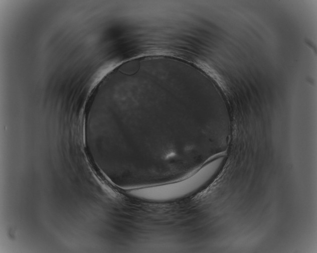 X0000091551127200709071210
