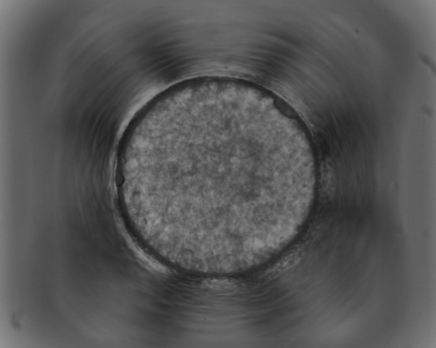 X0000091551128200709071210