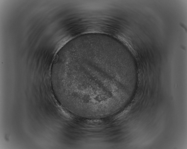 X0000091551129200709071210