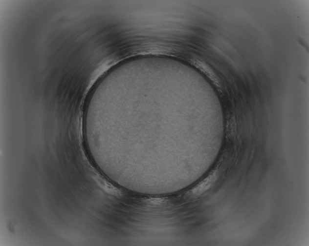 X0000091551130200709071210