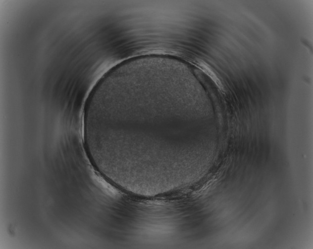 X0000091551132200709071210