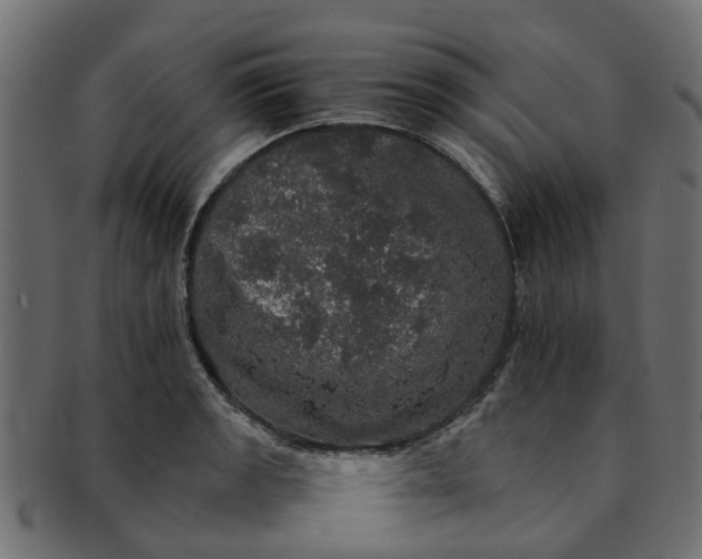 X0000091551133200709071210