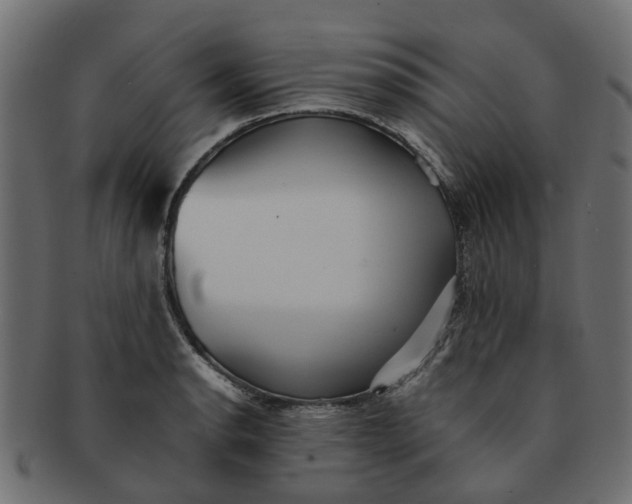 X0000091551134200709071210