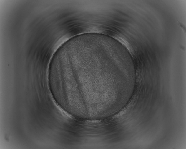 X0000091551135200709071210