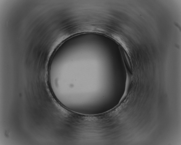 X0000091551136200709071210
