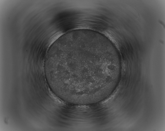 X0000091551137200709071210