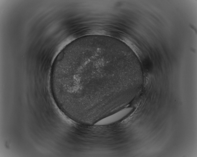 X0000091551139200709071210
