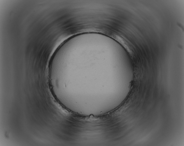 X0000091551140200709071210