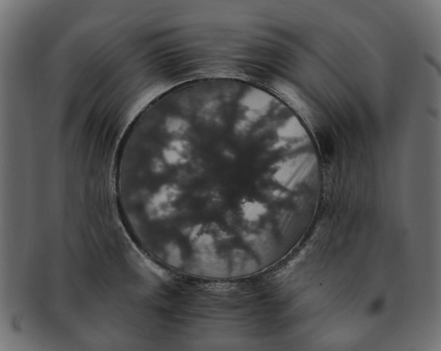 X0000091551141200709071210