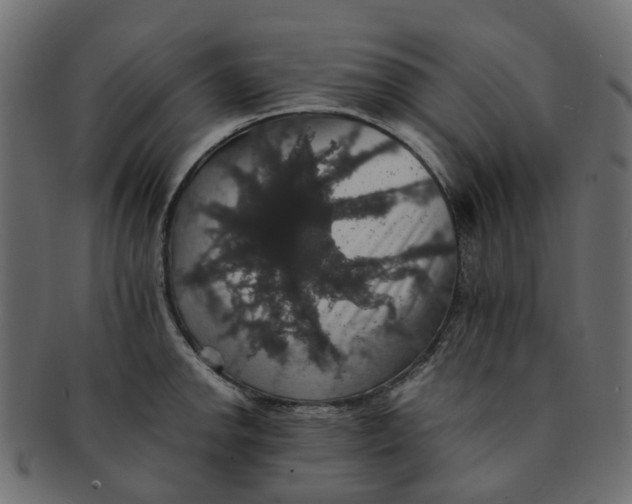 X0000091551142200709071210