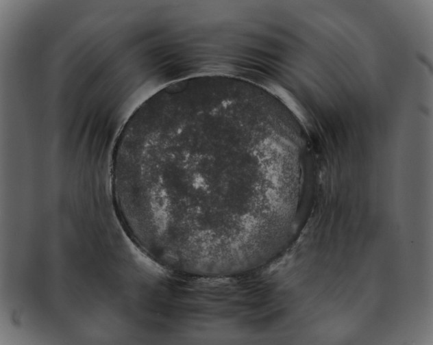 X0000091551143200709071210