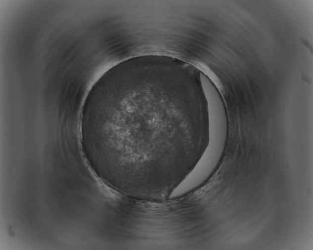 X0000091551144200709071210