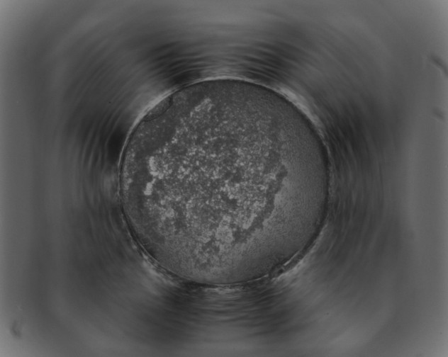 X0000091551145200709071210