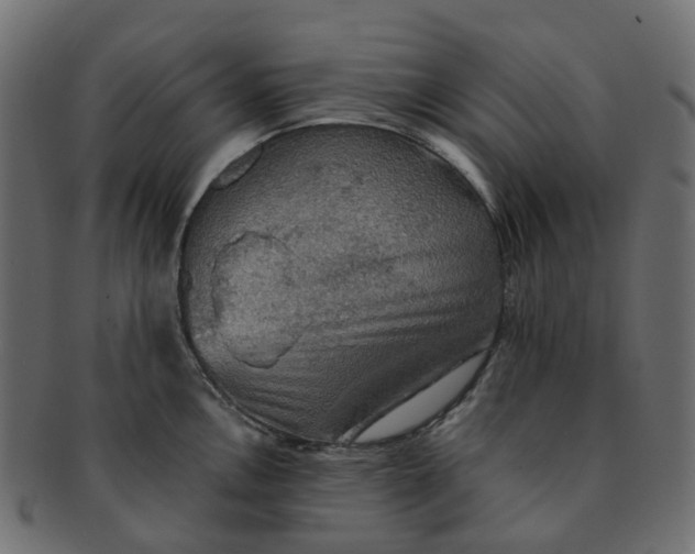 X0000091551146200709071210