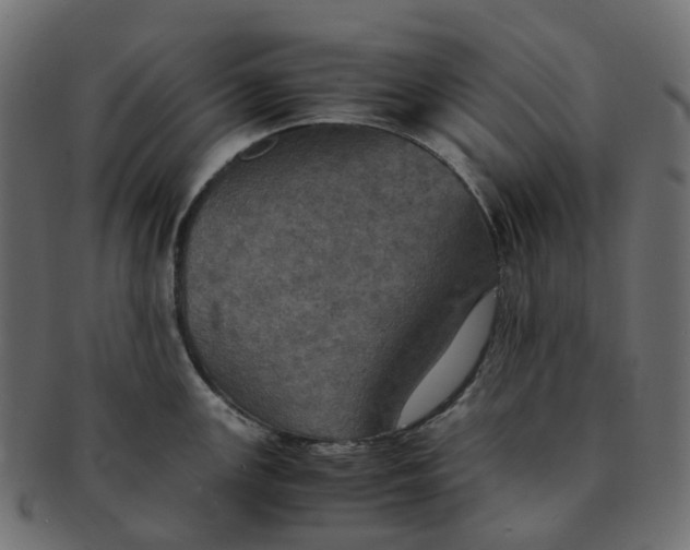 X0000091551147200709071210