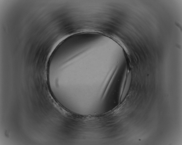 X0000091551148200709071210