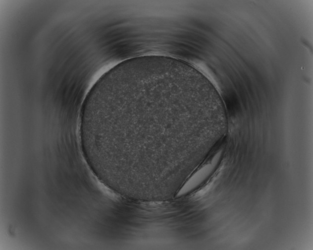 X0000091551149200709071210