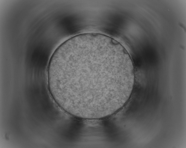 X0000091551150200709071210