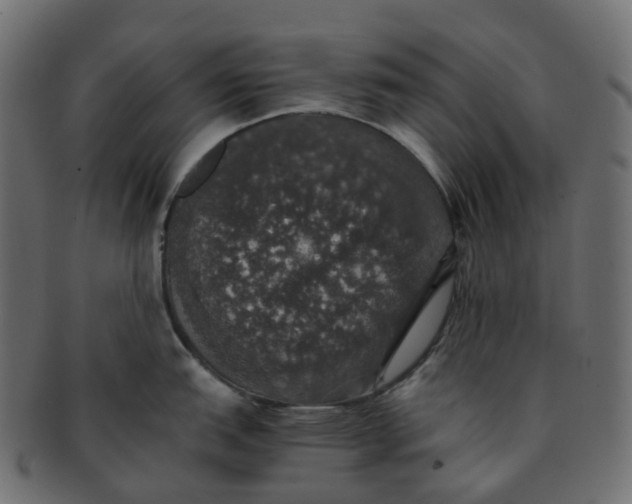 X0000091551151200709071210