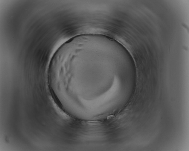 X0000091551152200709071210