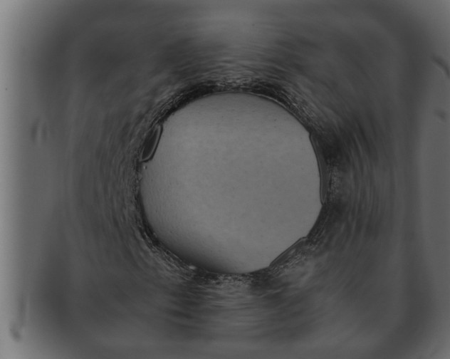 X0000091551153200709071210