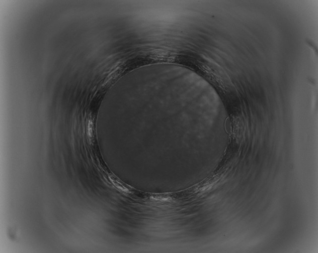 X0000091551154200709071210