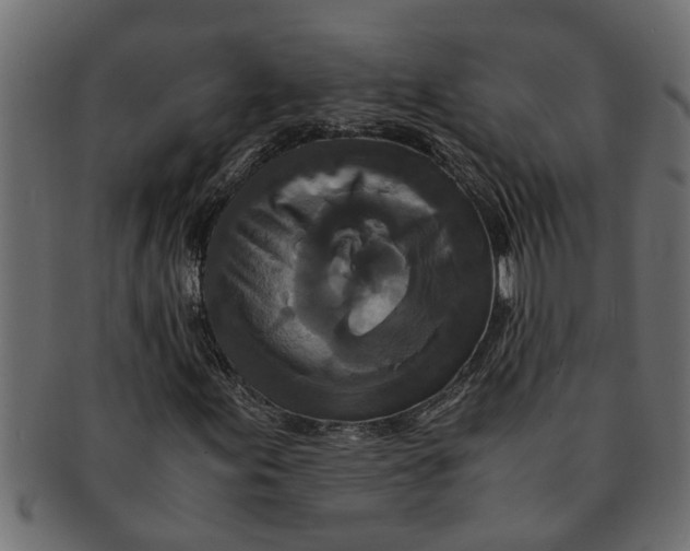 X0000091551155200709071210