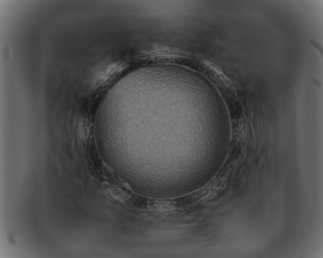 X0000091551157200709071210