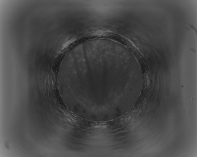 X0000091551158200709071210
