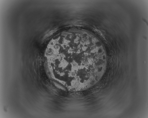 X0000091551159200709071210