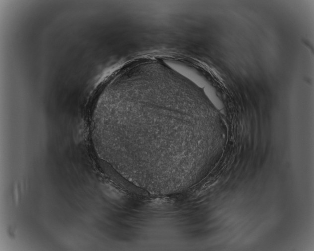 X0000091551160200709071210