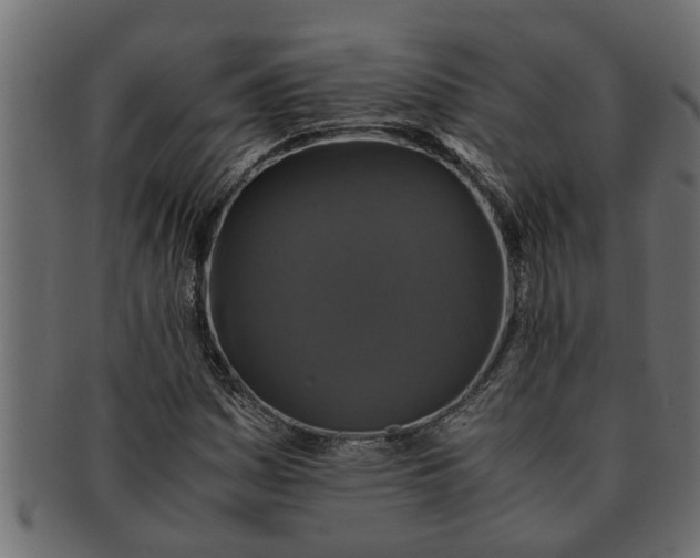 X0000091551161200709071210