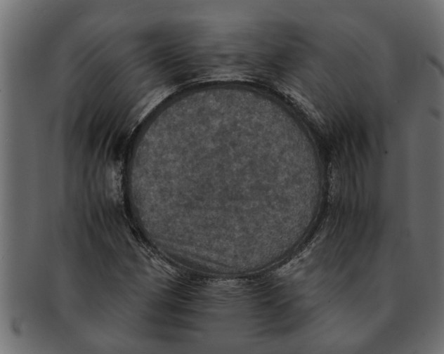 X0000091551162200709071210
