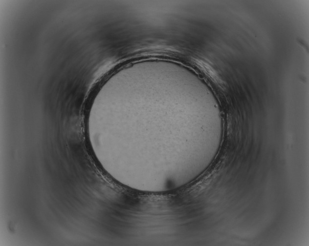 X0000091551164200709071210