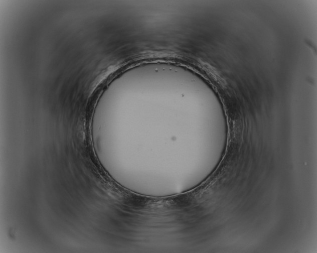 X0000091551165200709071210