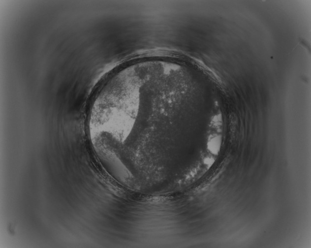 X0000091551166200709071210
