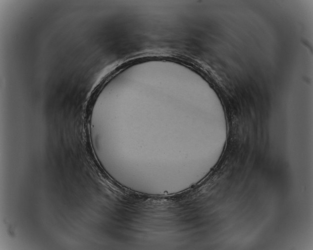 X0000091551168200709071210