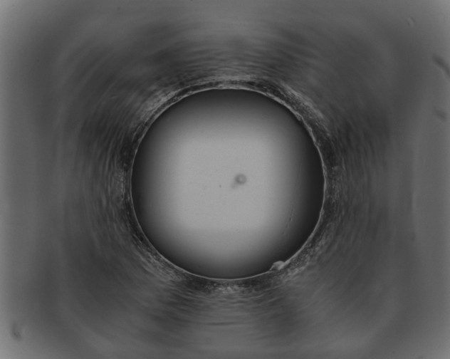 X0000091551169200709071210