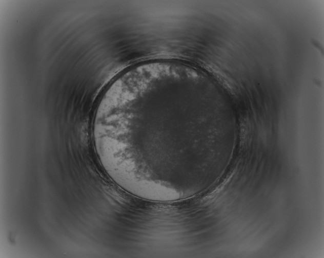 X0000091551170200709071209