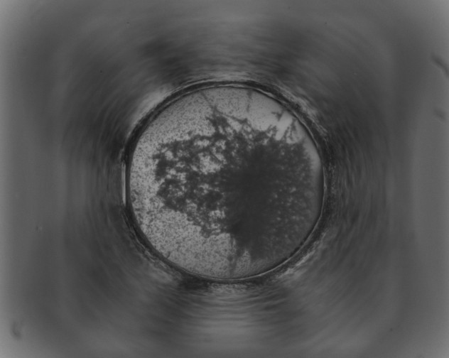 X0000091551171200709071209
