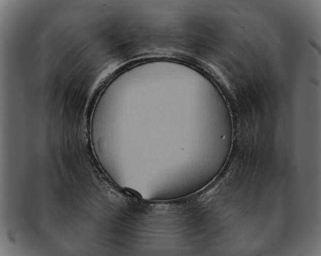 X0000091551172200709071209