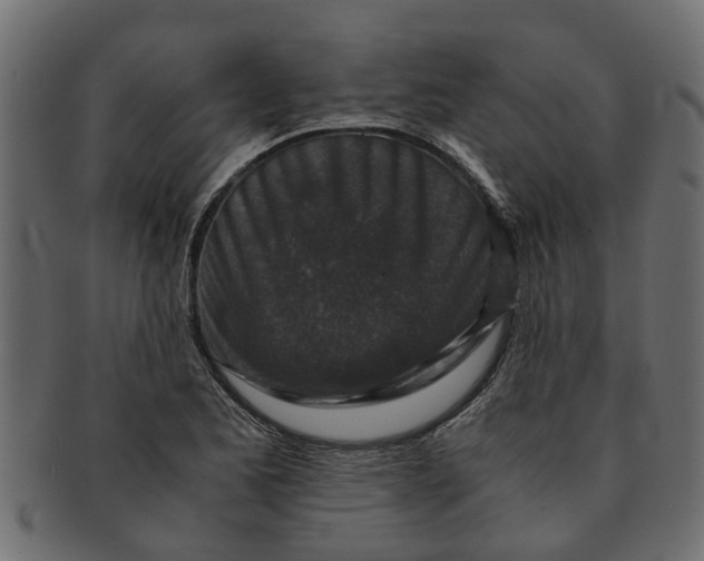 X0000091551173200709071209