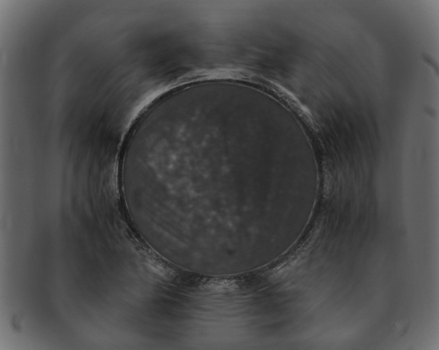 X0000091551174200709071209