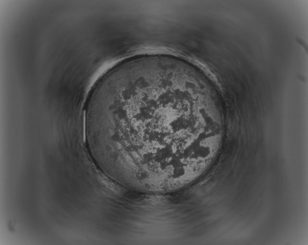 X0000091551175200709071209