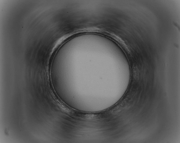 X0000091551176200709071209