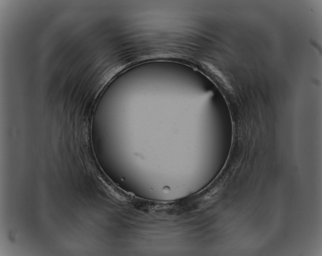 X0000091551177200709071209